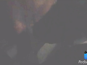 Trim.3289c162-2cdd-42e1-9078-141d6a7555dc.mov